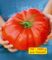 Fleisch-Tomate ‚Gigantomo‘ F1